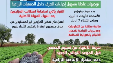 3e82e69e2aea080d8cc6f73dd89a09bf