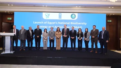 4ac763b9ef4432c38ac7b0236292d54b