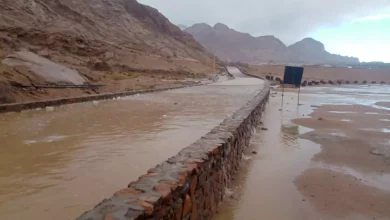 5015f1aed7ba5242e2e286de93f86e6e