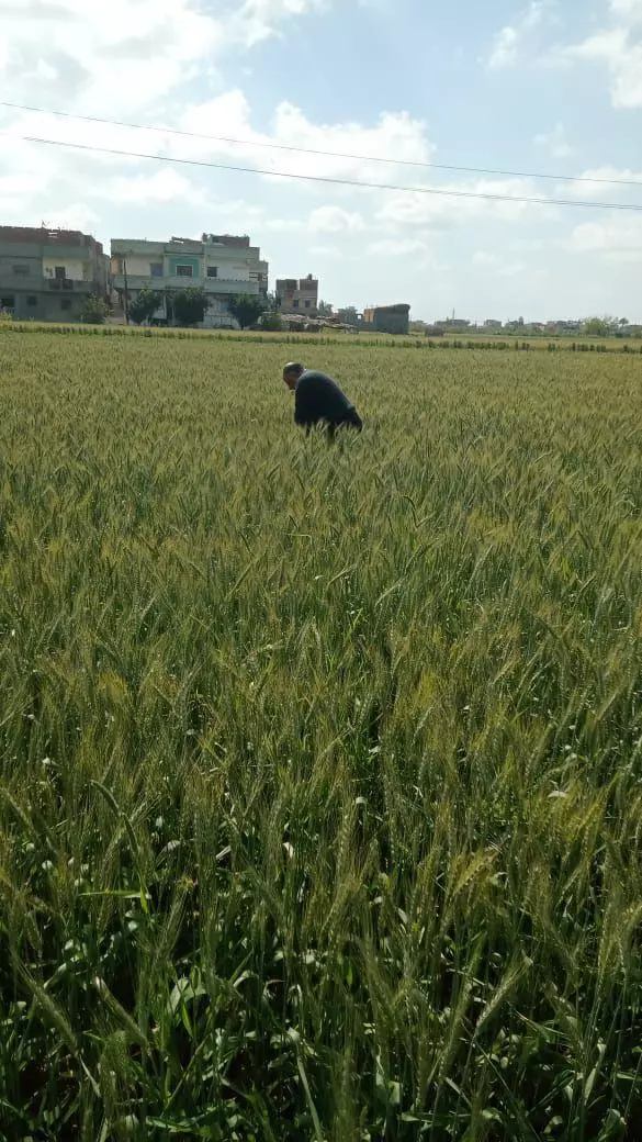 5bbb179469952c626f352b4c4bab1d64