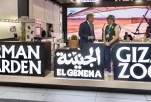 65aa35a2981a4c18dcbd8154d903b031