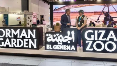 65aa35a2981a4c18dcbd8154d903b031