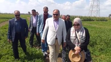 70982fb92b633bd44da360feeb026e85