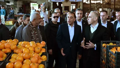 78b274a7903e2f29dfe39e92a0ecd32d