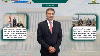 80c18435819908a9724d9828d4668912