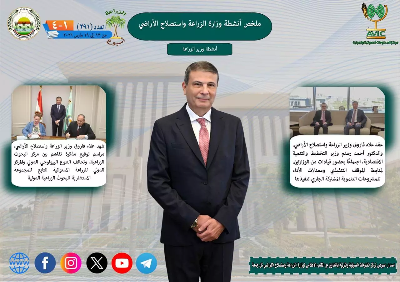 80c18435819908a9724d9828d4668912