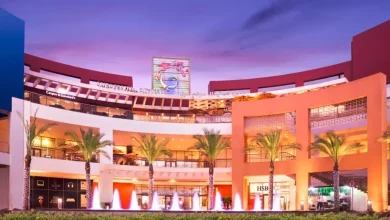 853ce2f01acf07e5702b8b9b65e991c8