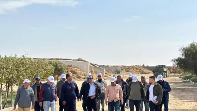 8c5e5fe7ffe54b2bee2105e3e1813995