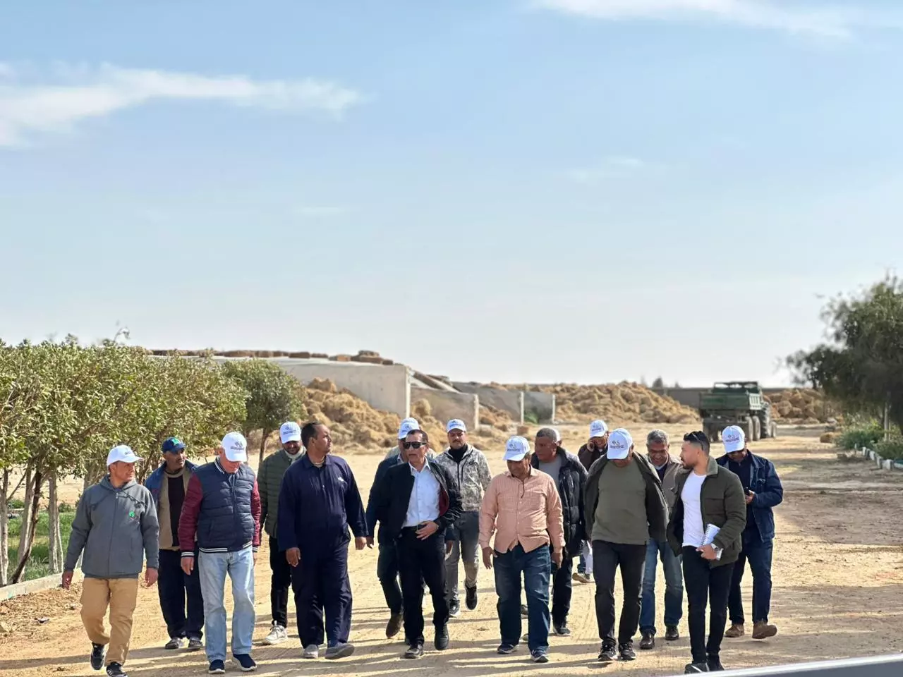 8c5e5fe7ffe54b2bee2105e3e1813995