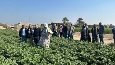 95de6f30814d903a3cb8334a75ec0c4c