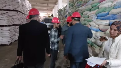 97abb6109e6514e27ea8dd4791e2c086