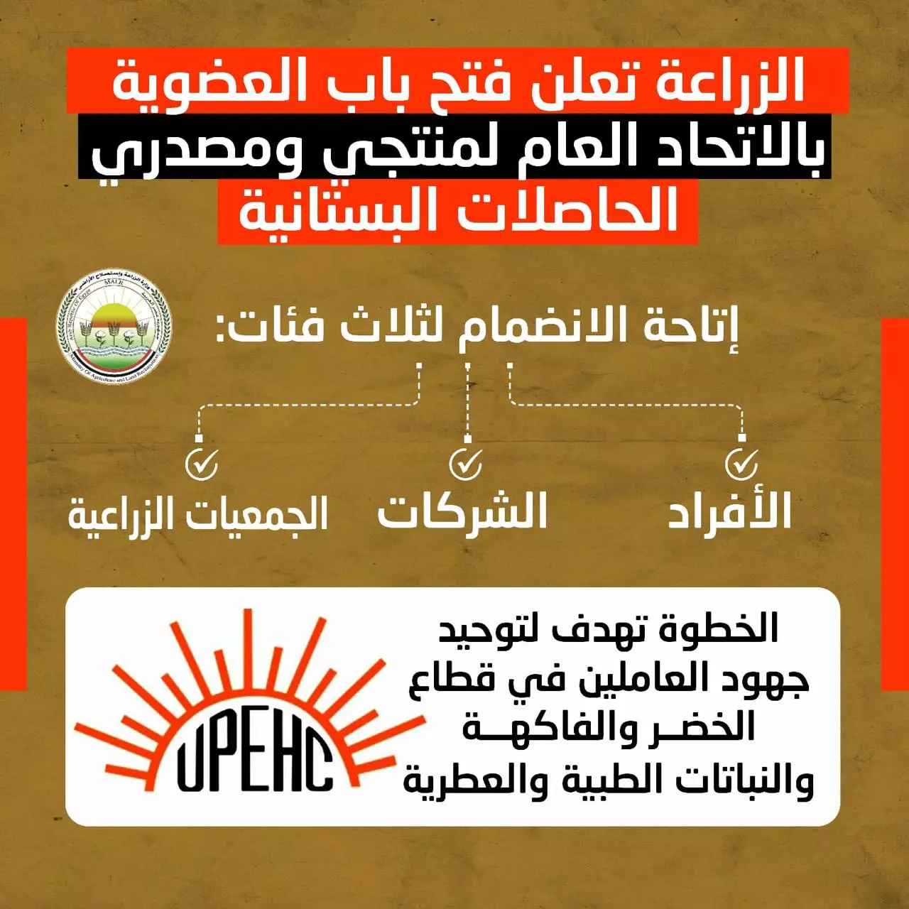 A83fd02dd5454ba856030b6592cb7013