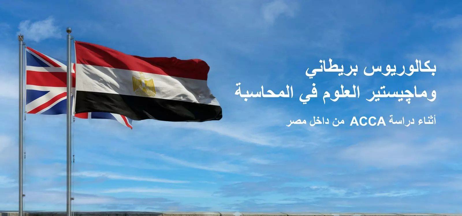 B46d035e982b97851ff050044da001d9