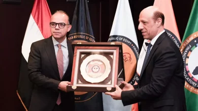 B8f31ede5d72b5af4481a637a6184480