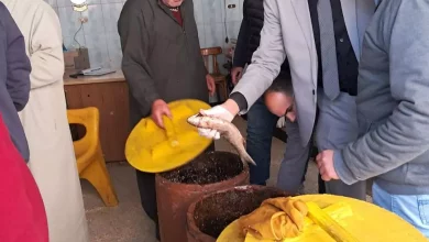 C0d58562c8f9b5a8d4e8168bdcffe34b