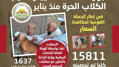 D034995a6539df122d2a20eb53539532