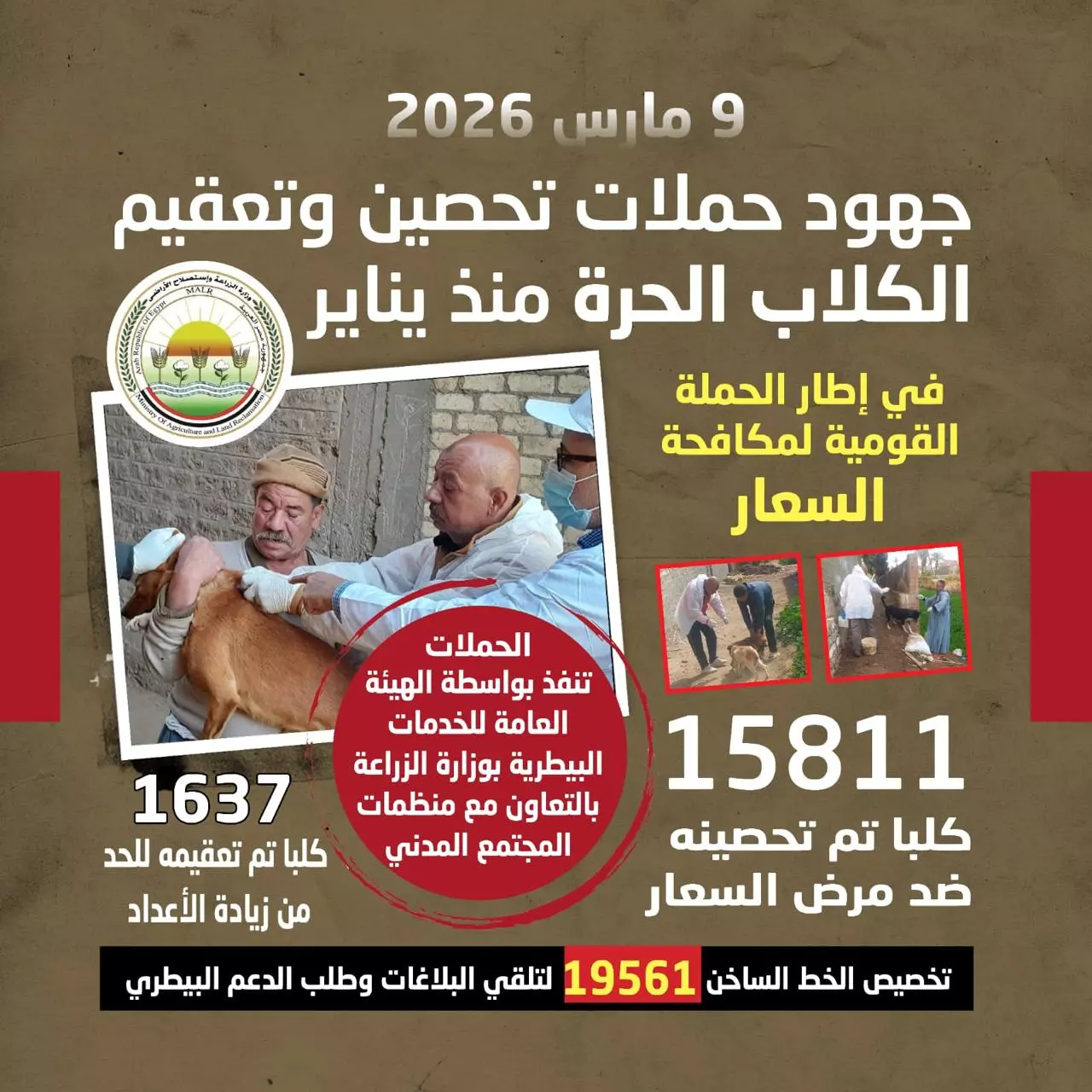 D034995a6539df122d2a20eb53539532