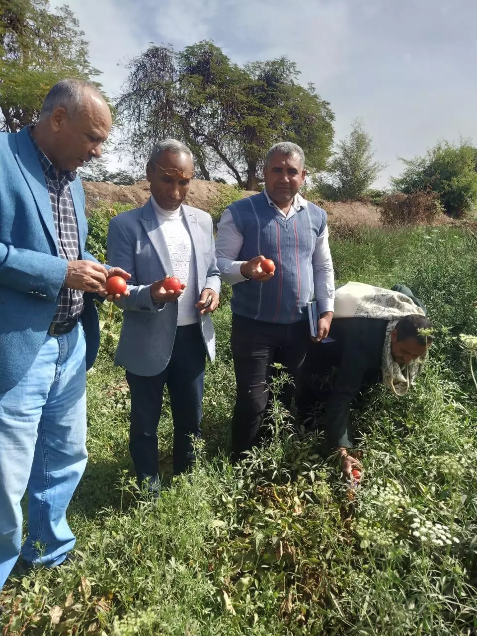 D6513dc4d5ef6abffe8eddd890636242