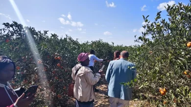 E0a693c14d7aa30bd856ac76d85e4d62