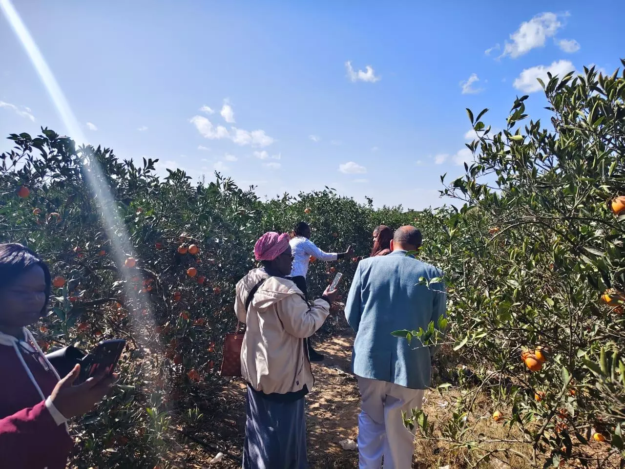 E0a693c14d7aa30bd856ac76d85e4d62