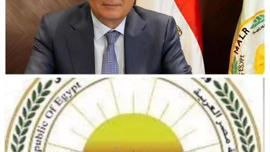 E93bada781f6afecb33ce59644181bcd