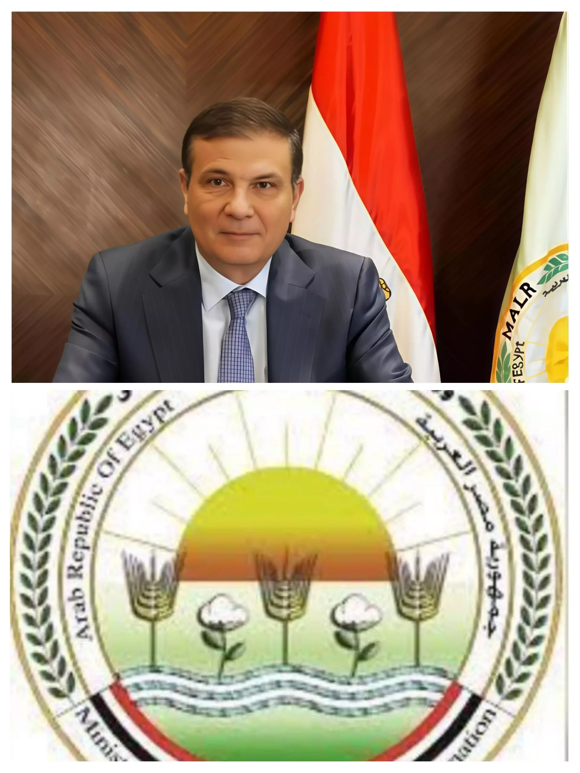 E93bada781f6afecb33ce59644181bcd