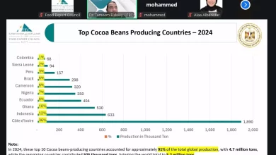 Ea494909a9560a13f894191fbb3e3216