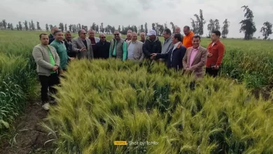 Efcdf50de4c82d5f9262913d4d6d024b