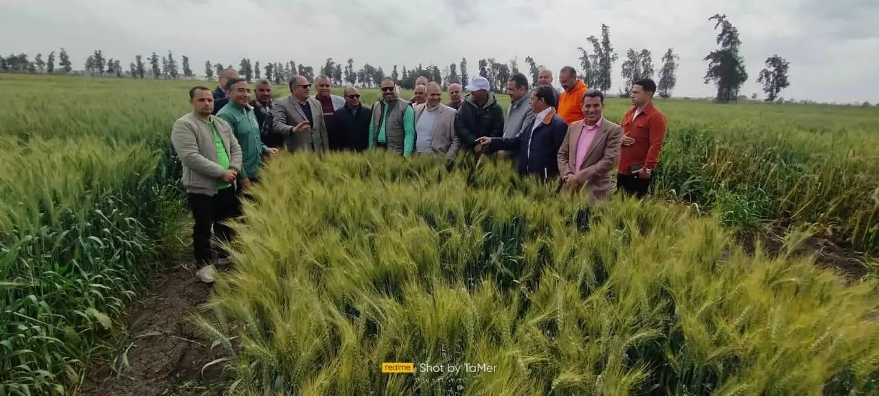 Efcdf50de4c82d5f9262913d4d6d024b