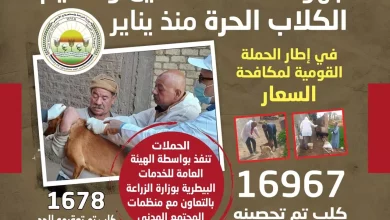 F22c90a257ada9592fccab24d8a62c87