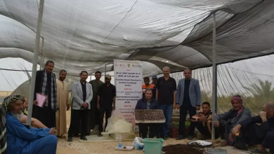 F31aae527c8d6b0918339b89c102ae68