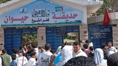 F609522c7118797e7e0690d0b1541169