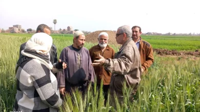 F76929ec779dffa85bfea4d32e8ef57b