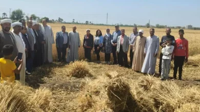 037f45ba0bbe14583d790b4828c97a39