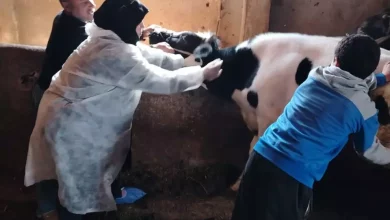 0c3abdd03980fceb1252b45ad79f6396