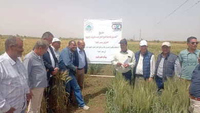 0ffdca920c4ffbb3412a9a87d44978af