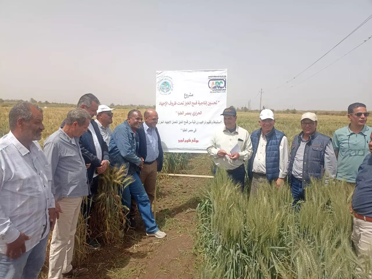 0ffdca920c4ffbb3412a9a87d44978af