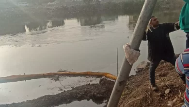 25b0478b51c7154a845352166f044613