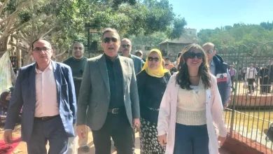 267396b16bd145adfc181a0689ff6b7d