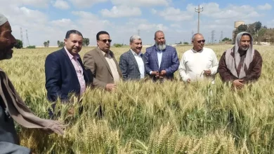 283ce9fac80304a3c5141916410b42a6