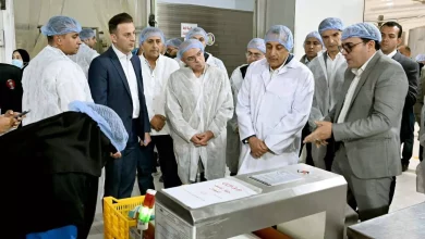 299ccb0e258837f359d0369c76869828