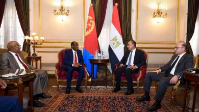 2a65be2e56ece6fb6b9fd250b31bfaf4