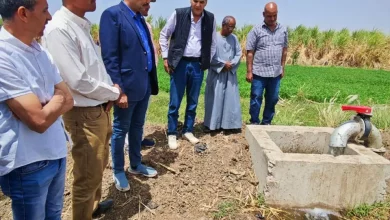 2ba58f03b5b915f5b1dba1a95c882c44