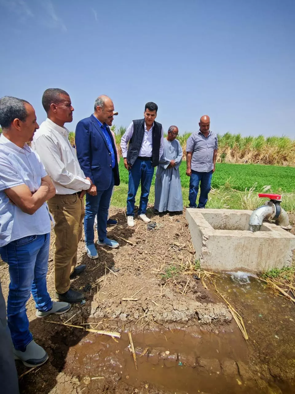 2ba58f03b5b915f5b1dba1a95c882c44