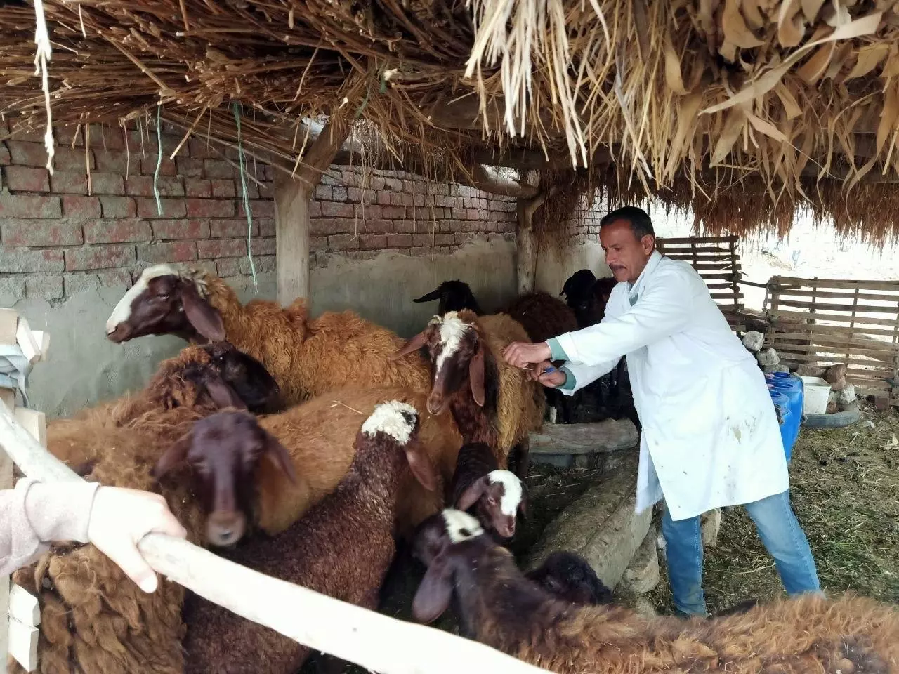 2e086a931c6411028e66e4cf77dd3525