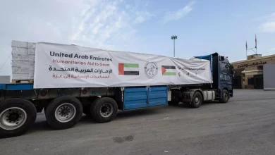 36dddf6302a0acb0c98ae4c40d21db51