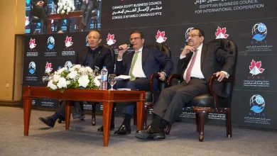 3989b97de58239dade2b960e361b8799