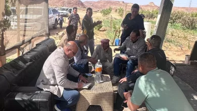 3fed68e3ce33659ebd2ba46c7c850487