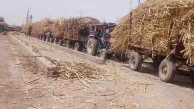 429389143cb69dc32998efdf31cb95f4