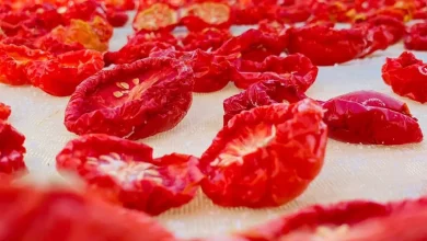 481b141aa19a2a323f0e1558d110948e